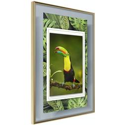 Arkiio Affisch Toucan [Poster] 20x30 Poster